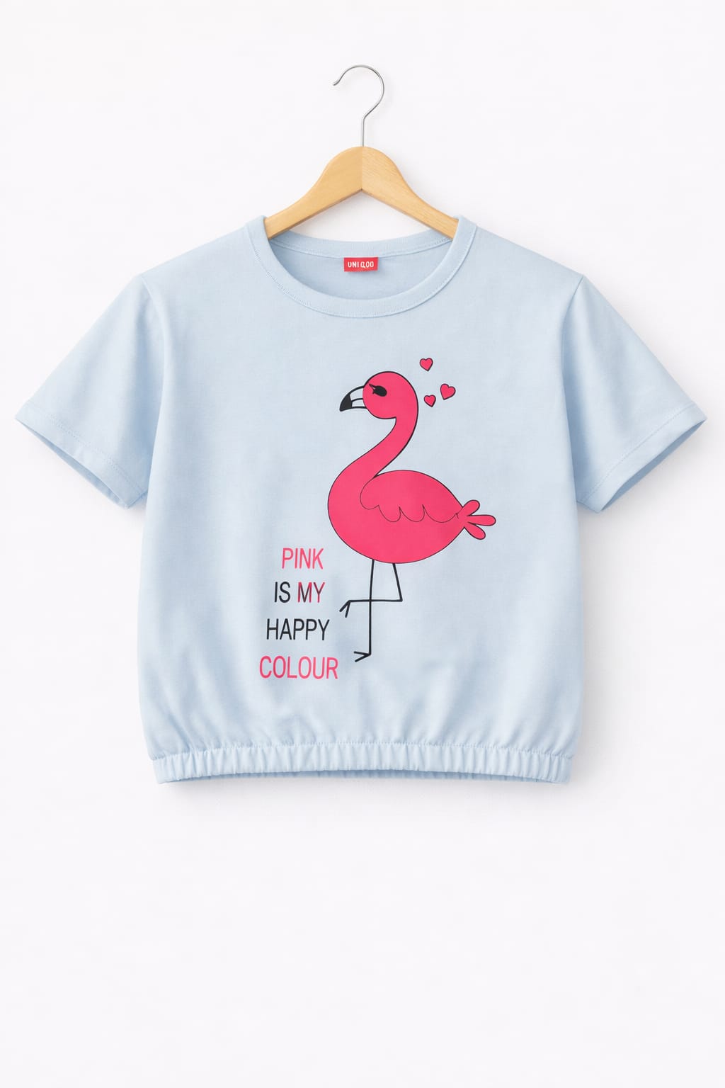 Short Length Falmingo Print Sky  T- Shirt- Girls